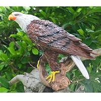 巨木 置物 51KsgB+AHKL._SS200_.jpg